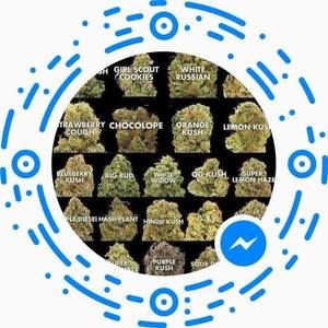 Meet your Posher, Austin